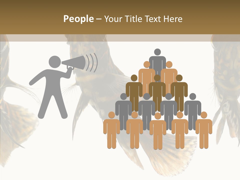 Oscar Concept Green PowerPoint Template