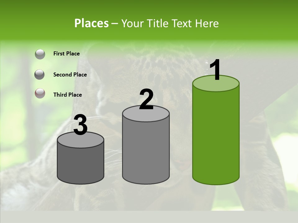 Cat Whiskers Wildlife PowerPoint Template