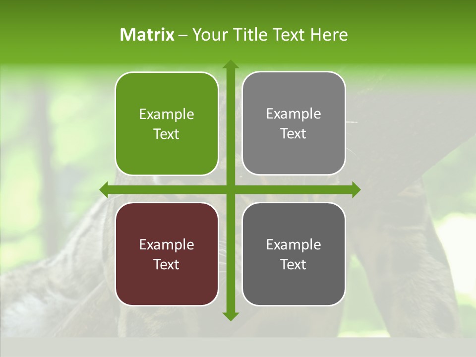 Cat Whiskers Wildlife PowerPoint Template