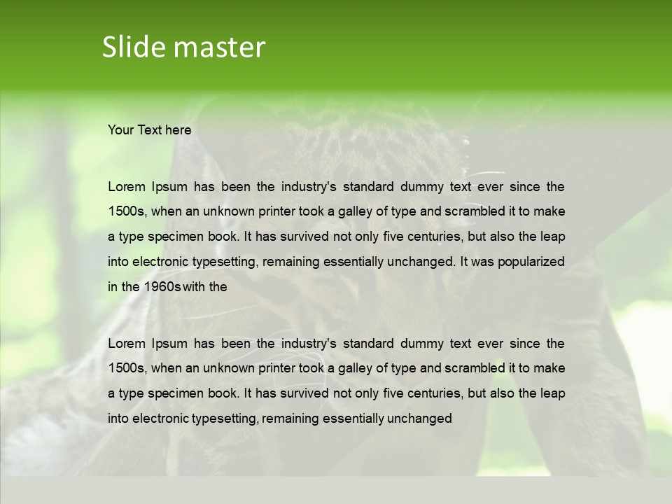 Cat Whiskers Wildlife PowerPoint Template