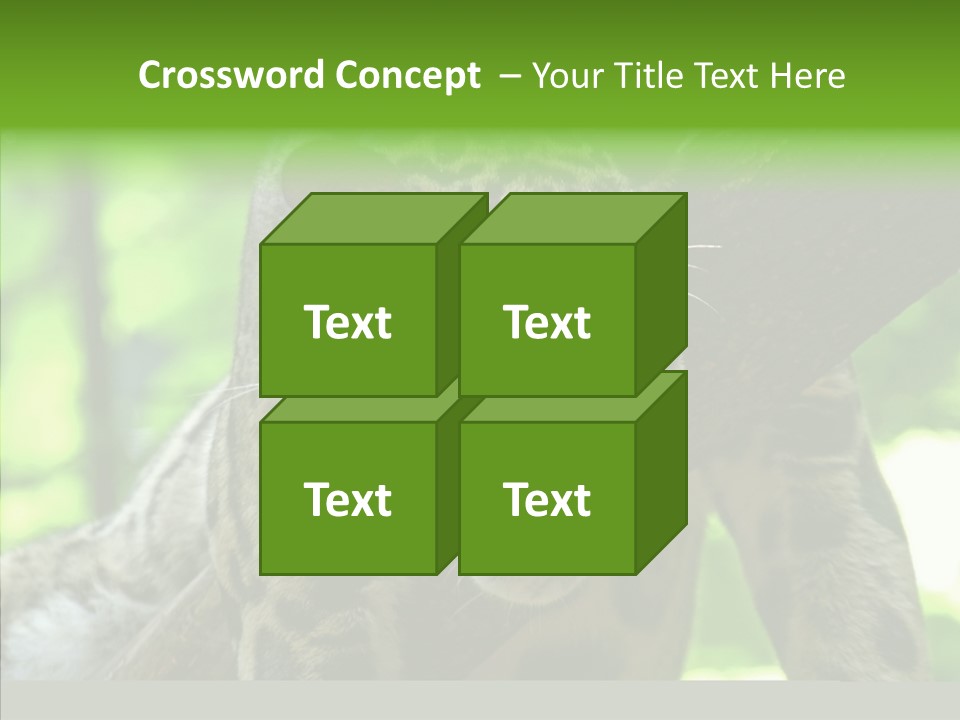 Cat Whiskers Wildlife PowerPoint Template