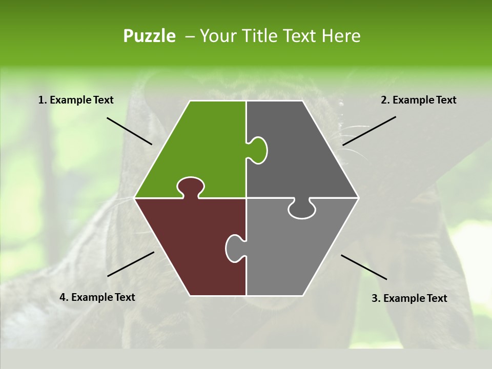 Cat Whiskers Wildlife PowerPoint Template