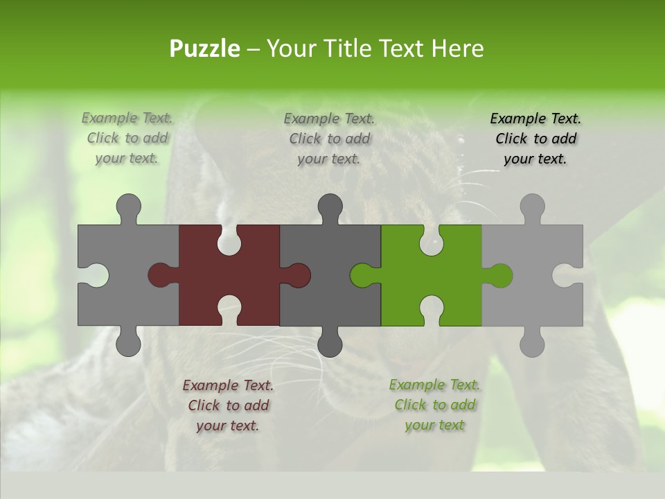 Cat Whiskers Wildlife PowerPoint Template