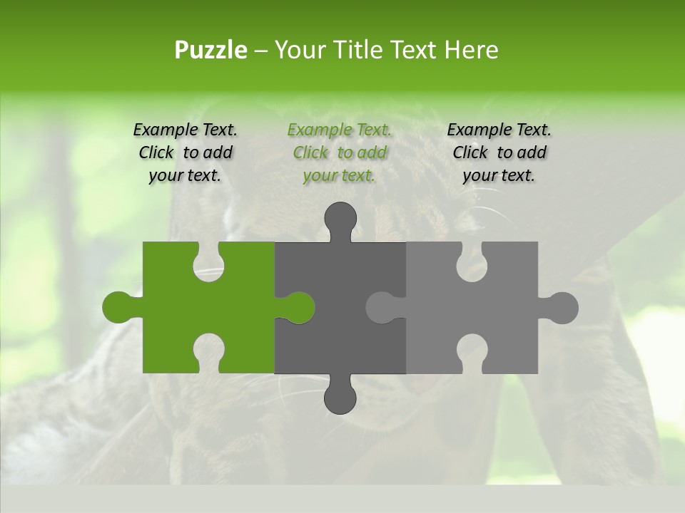 Cat Whiskers Wildlife PowerPoint Template