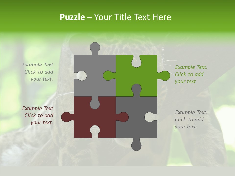 Cat Whiskers Wildlife PowerPoint Template