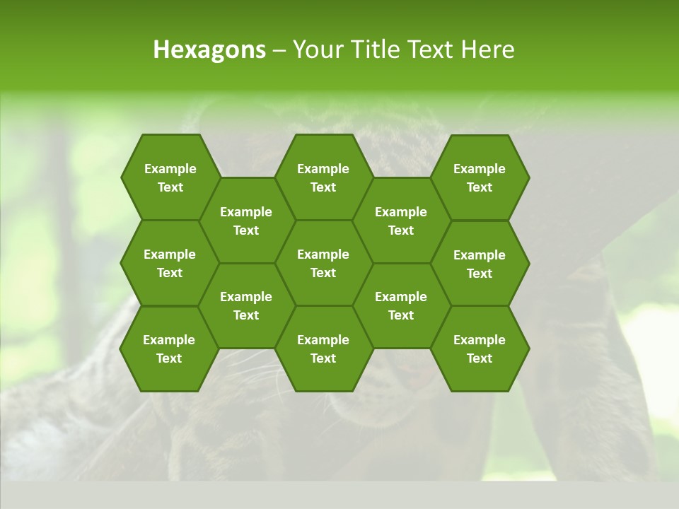 Cat Whiskers Wildlife PowerPoint Template