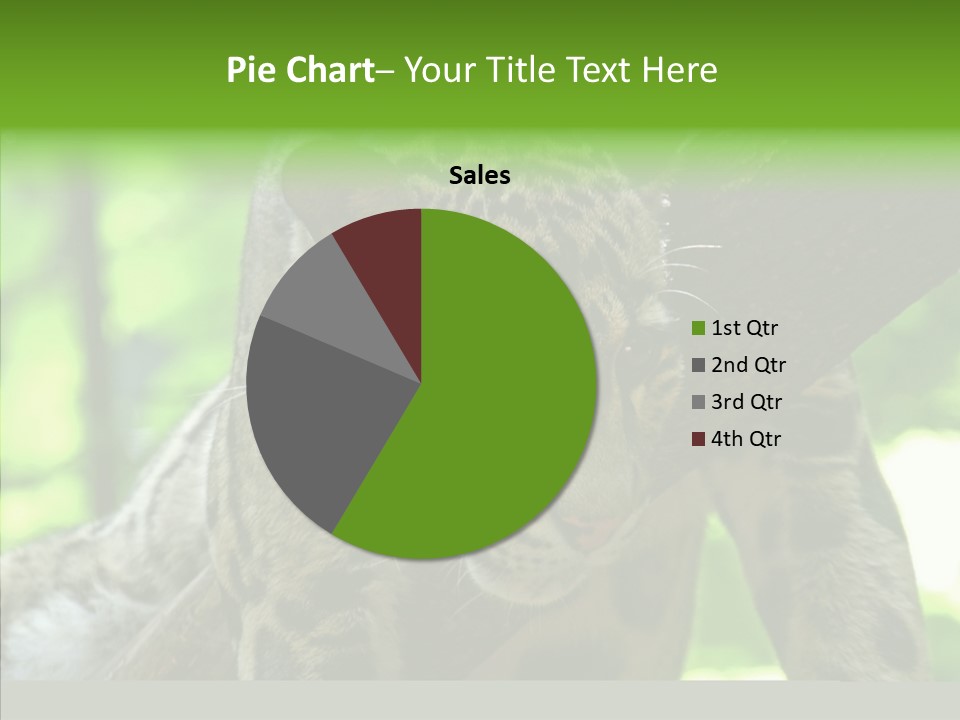 Cat Whiskers Wildlife PowerPoint Template