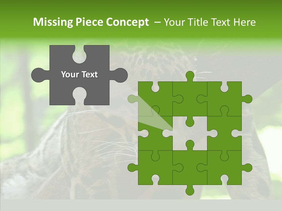 Cat Whiskers Wildlife PowerPoint Template