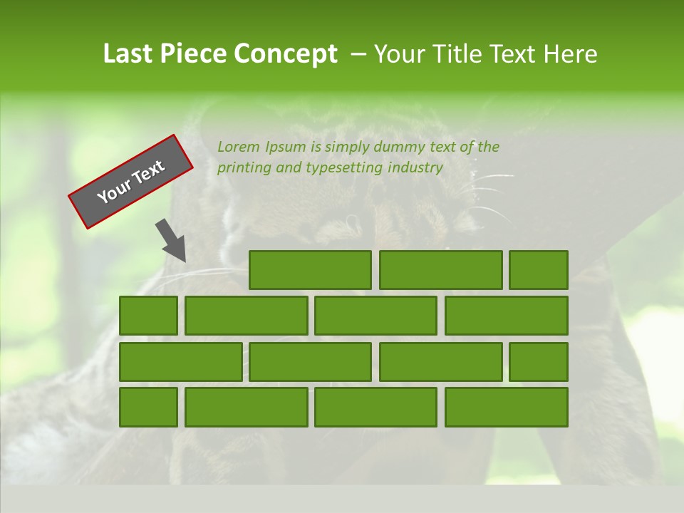 Cat Whiskers Wildlife PowerPoint Template