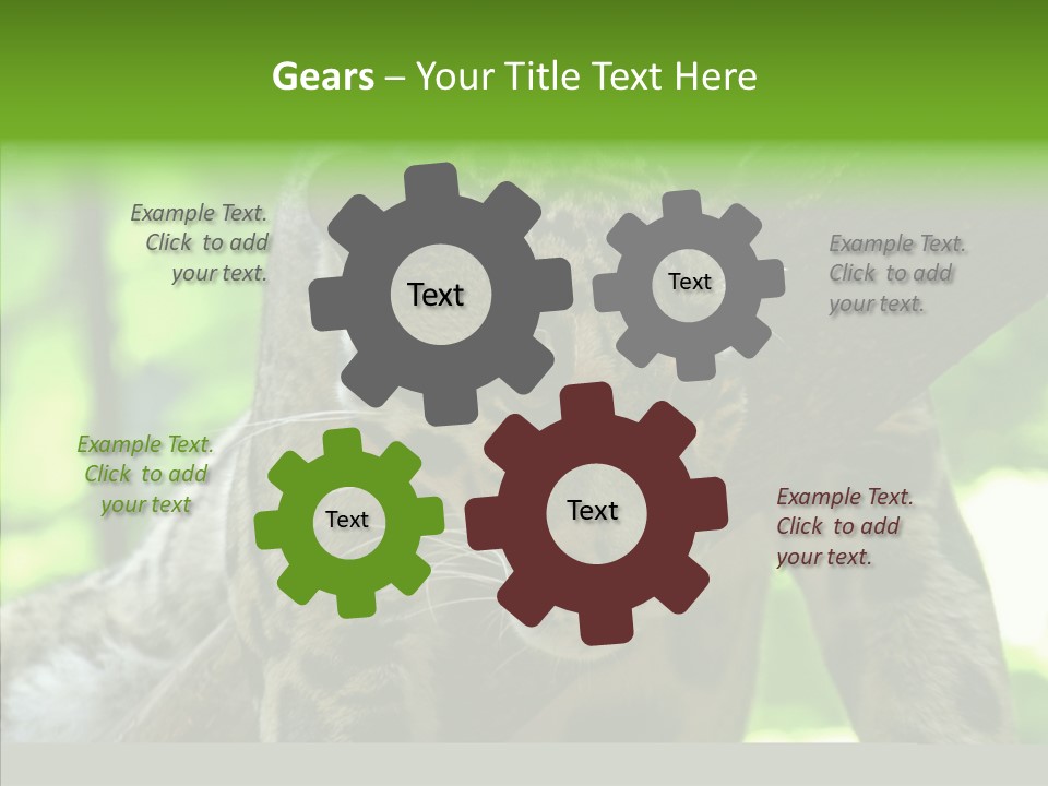 Cat Whiskers Wildlife PowerPoint Template