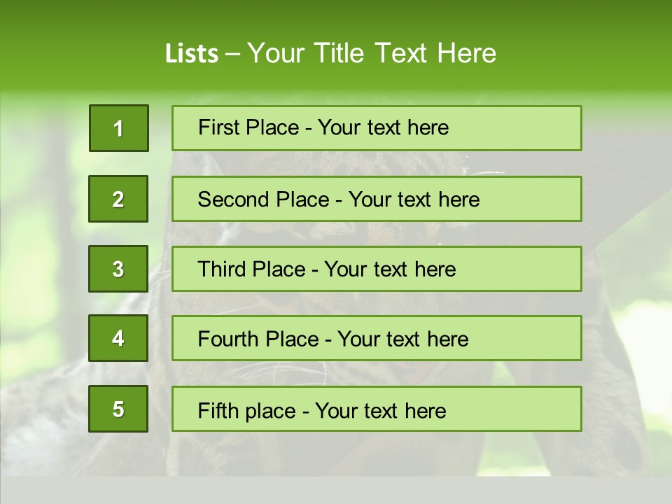 Cat Whiskers Wildlife PowerPoint Template