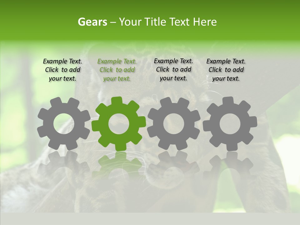 Cat Whiskers Wildlife PowerPoint Template