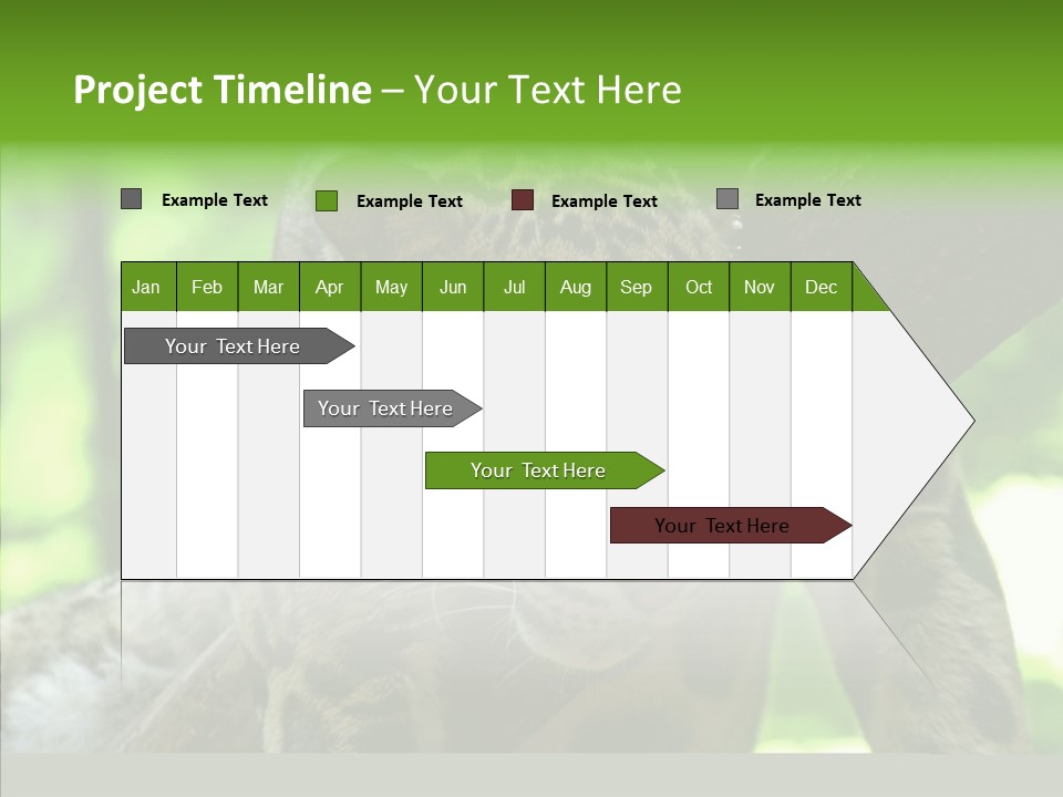 Cat Whiskers Wildlife PowerPoint Template