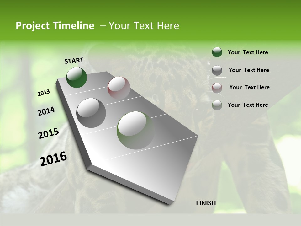 Cat Whiskers Wildlife PowerPoint Template