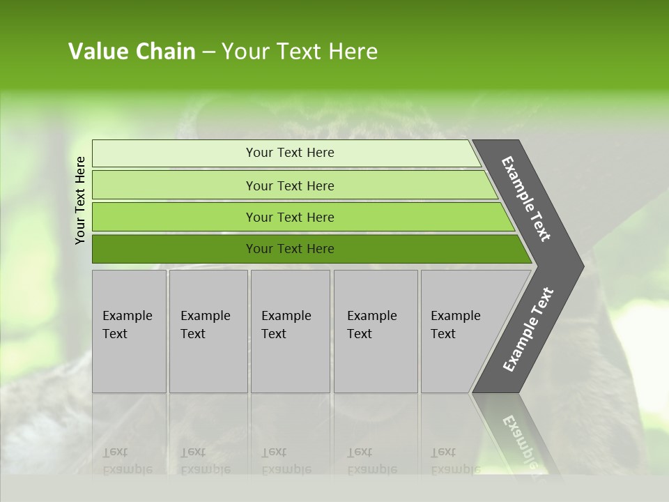 Cat Whiskers Wildlife PowerPoint Template