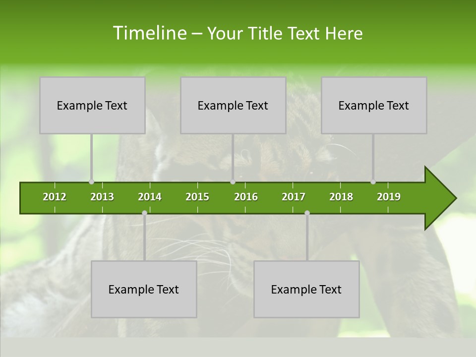 Cat Whiskers Wildlife PowerPoint Template