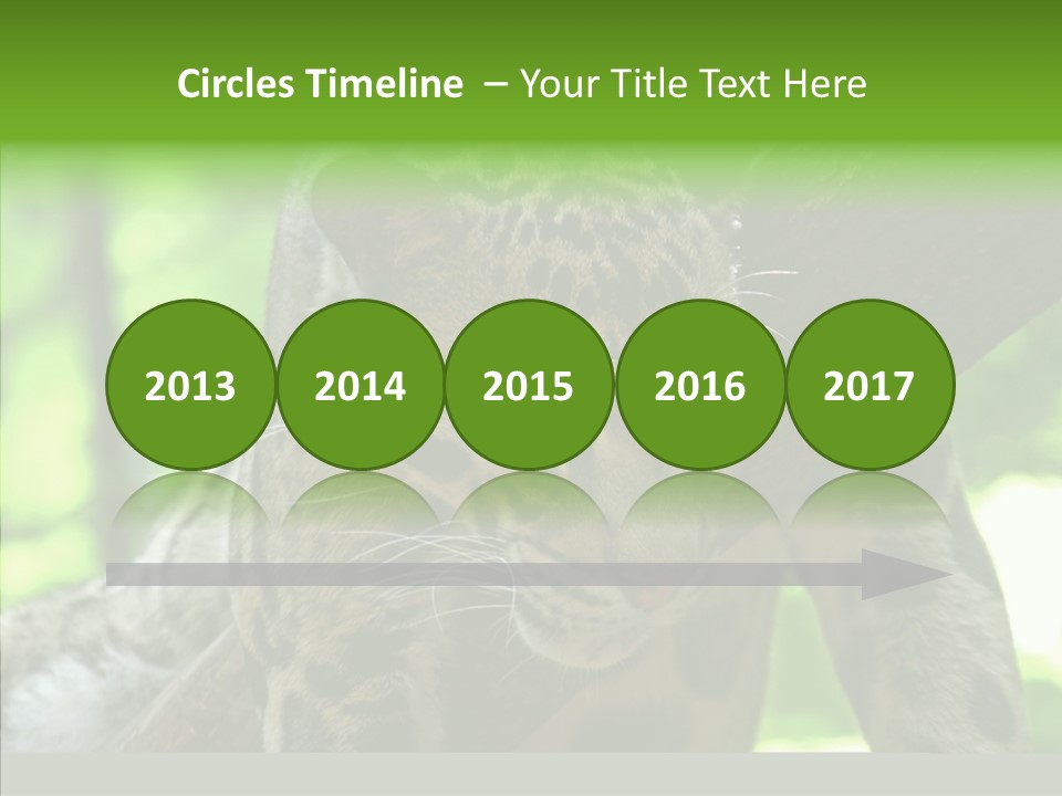 Cat Whiskers Wildlife PowerPoint Template