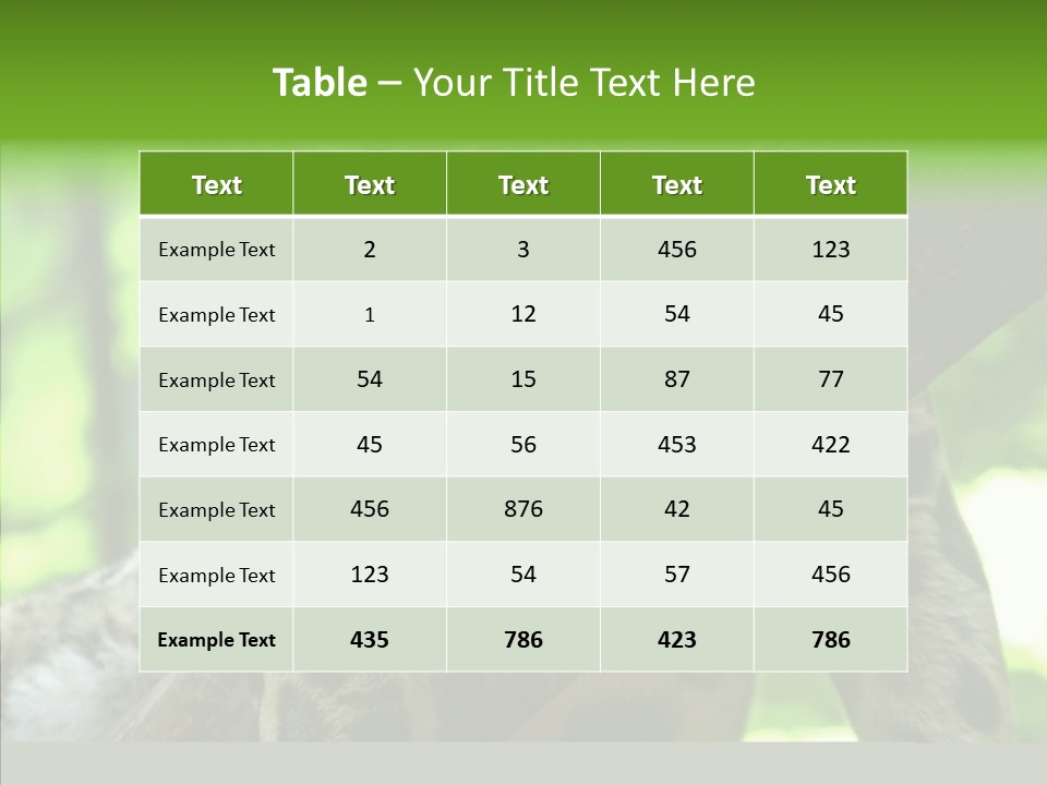 Cat Whiskers Wildlife PowerPoint Template