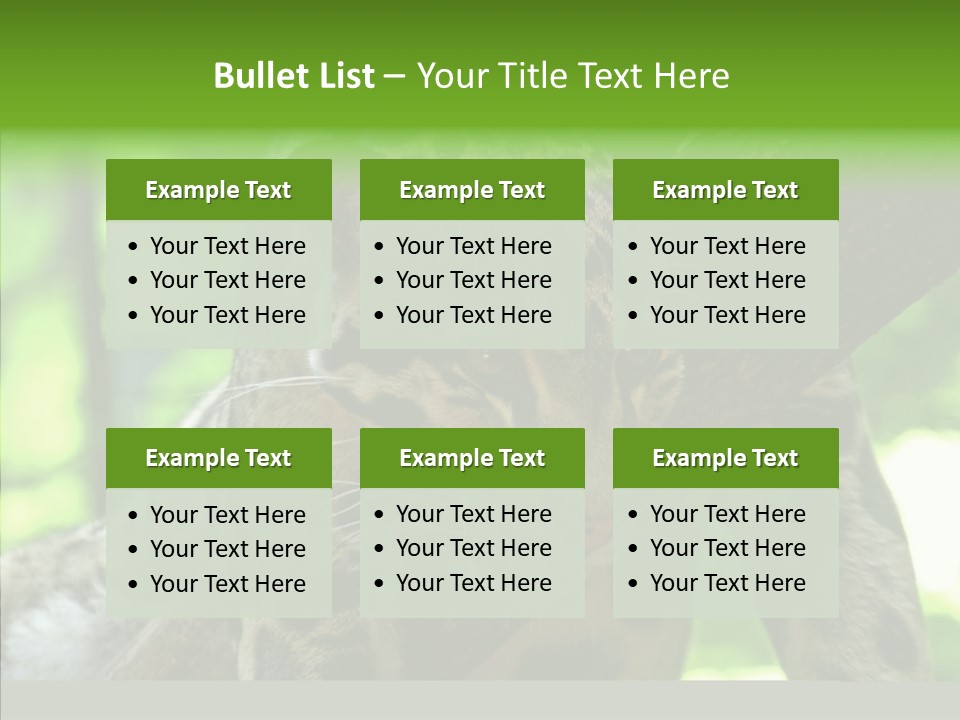 Cat Whiskers Wildlife PowerPoint Template