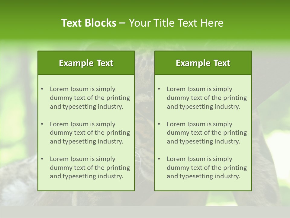 Cat Whiskers Wildlife PowerPoint Template