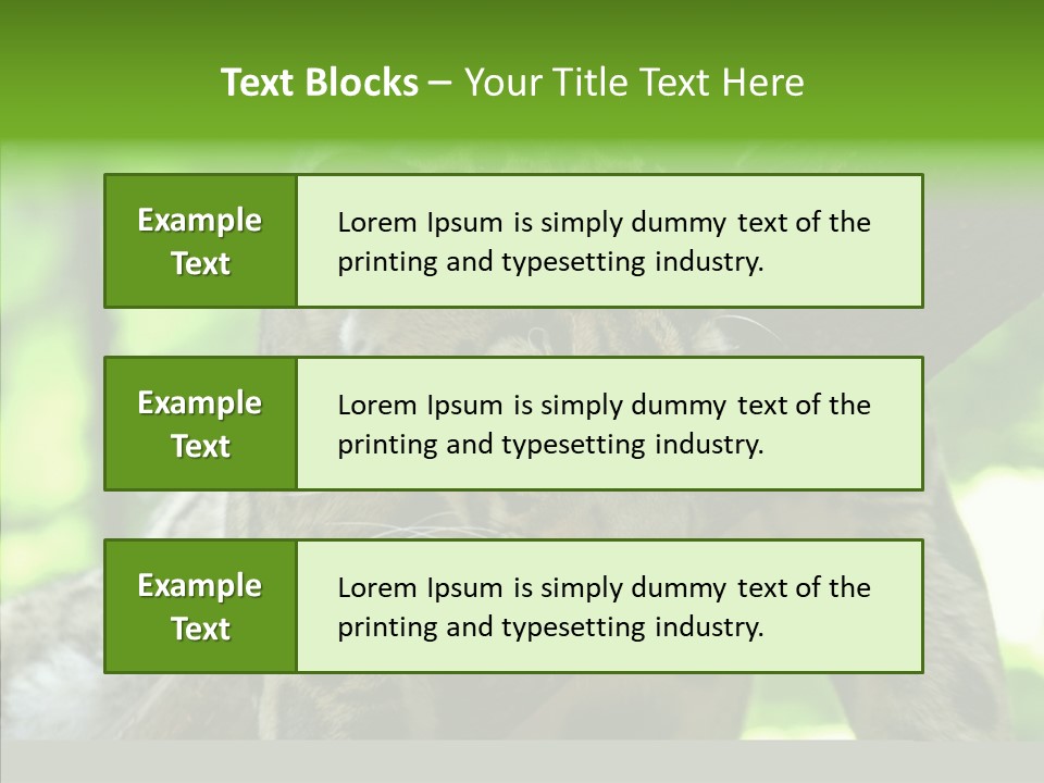Cat Whiskers Wildlife PowerPoint Template