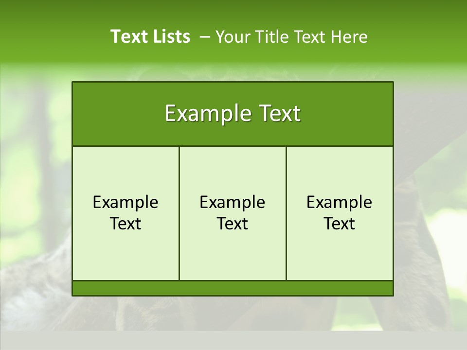 Cat Whiskers Wildlife PowerPoint Template