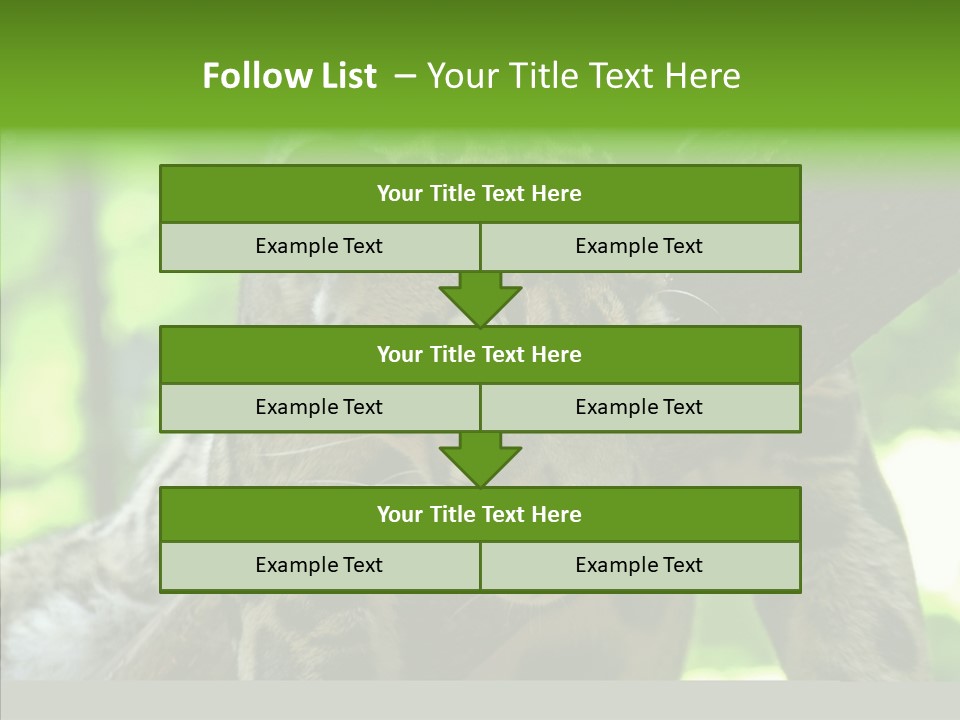 Cat Whiskers Wildlife PowerPoint Template