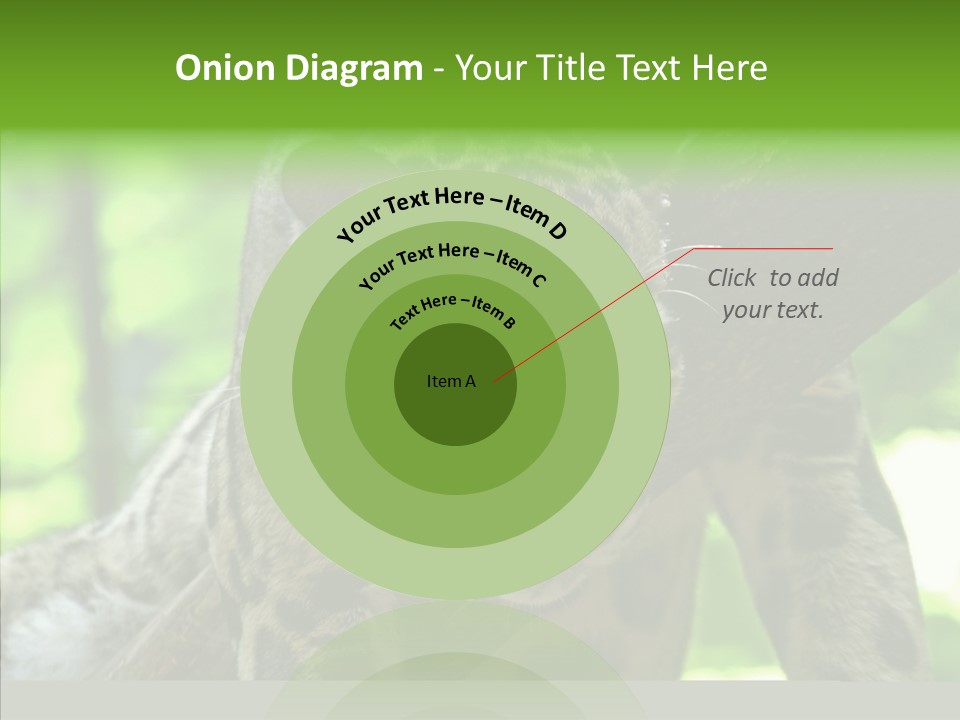 Cat Whiskers Wildlife PowerPoint Template