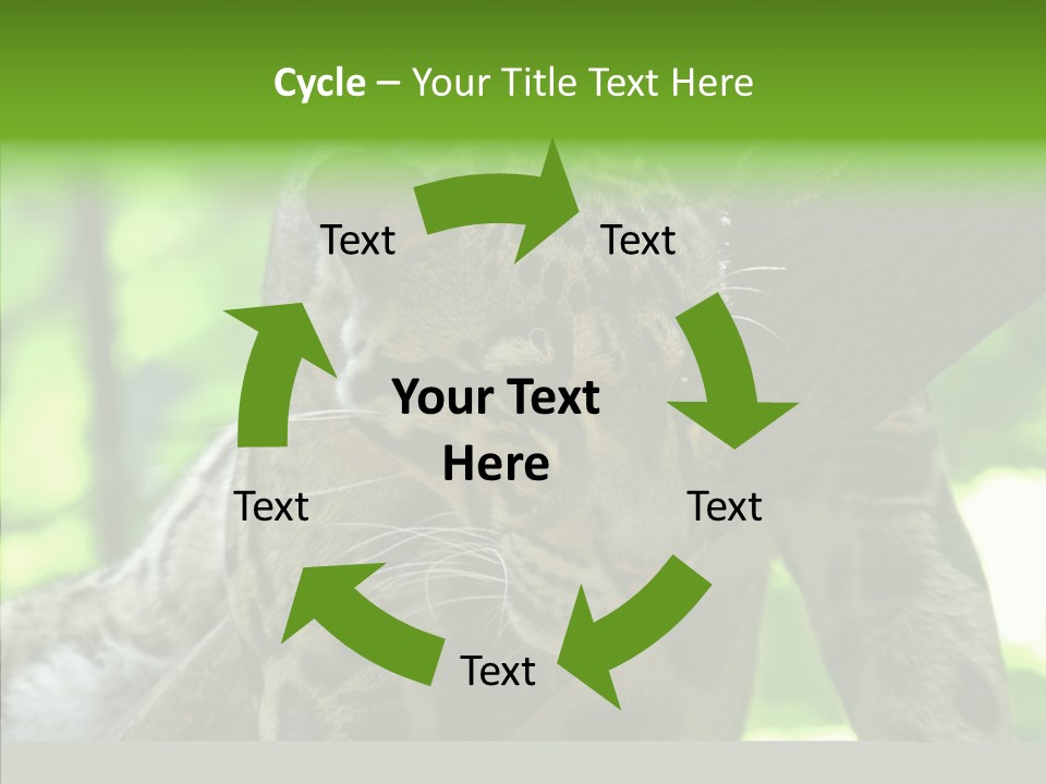 Cat Whiskers Wildlife PowerPoint Template