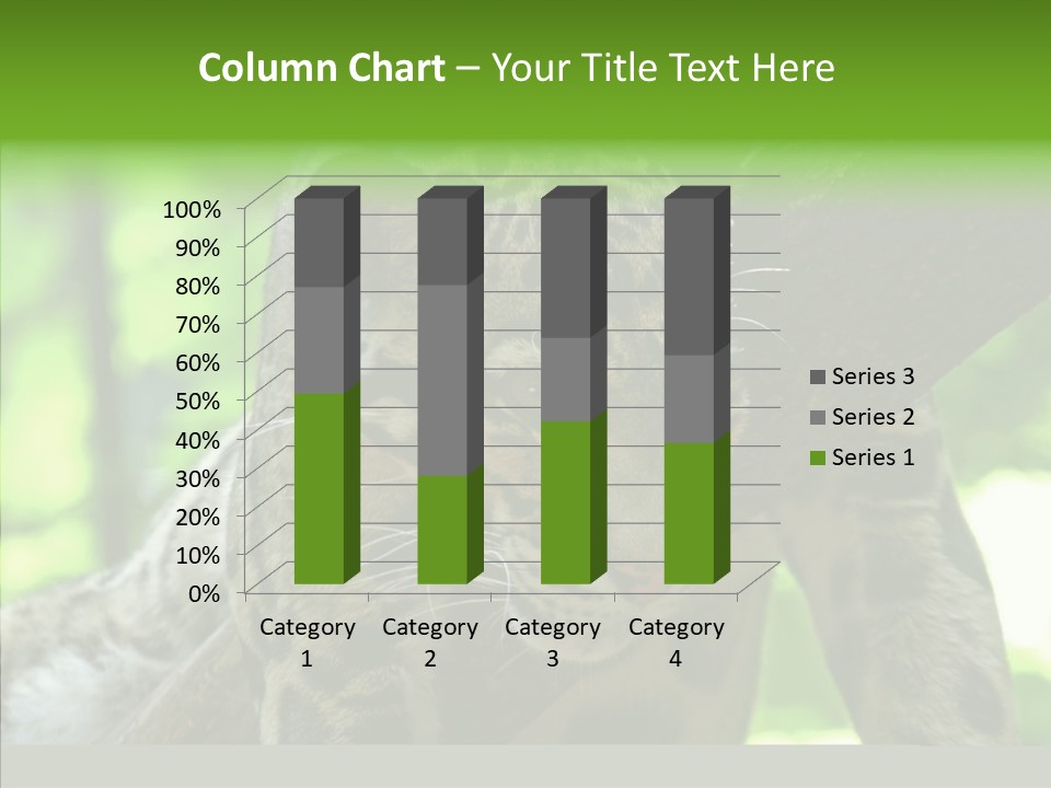 Cat Whiskers Wildlife PowerPoint Template