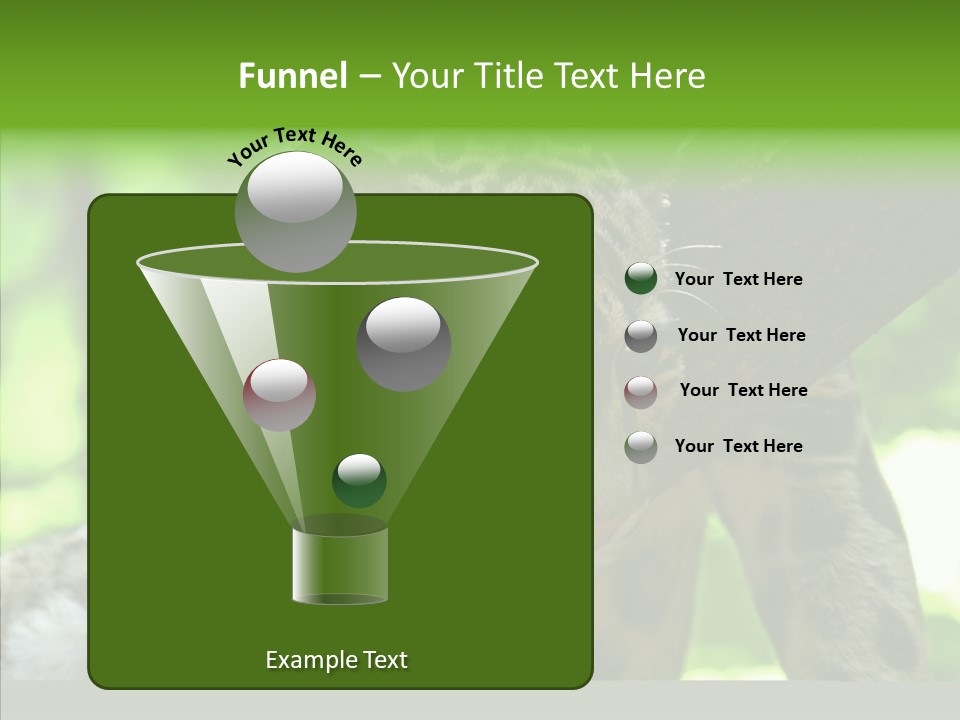 Cat Whiskers Wildlife PowerPoint Template