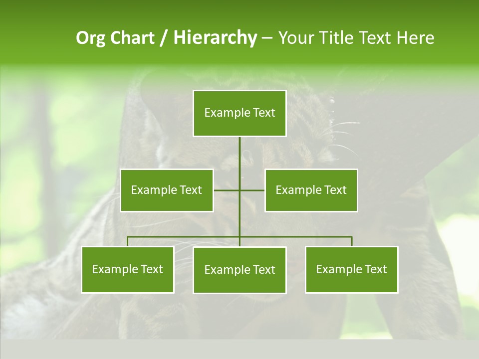 Cat Whiskers Wildlife PowerPoint Template