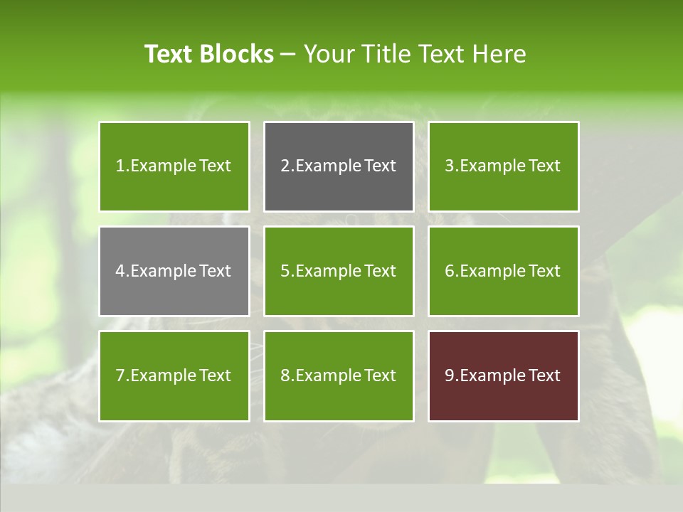 Cat Whiskers Wildlife PowerPoint Template