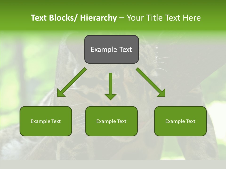 Cat Whiskers Wildlife PowerPoint Template