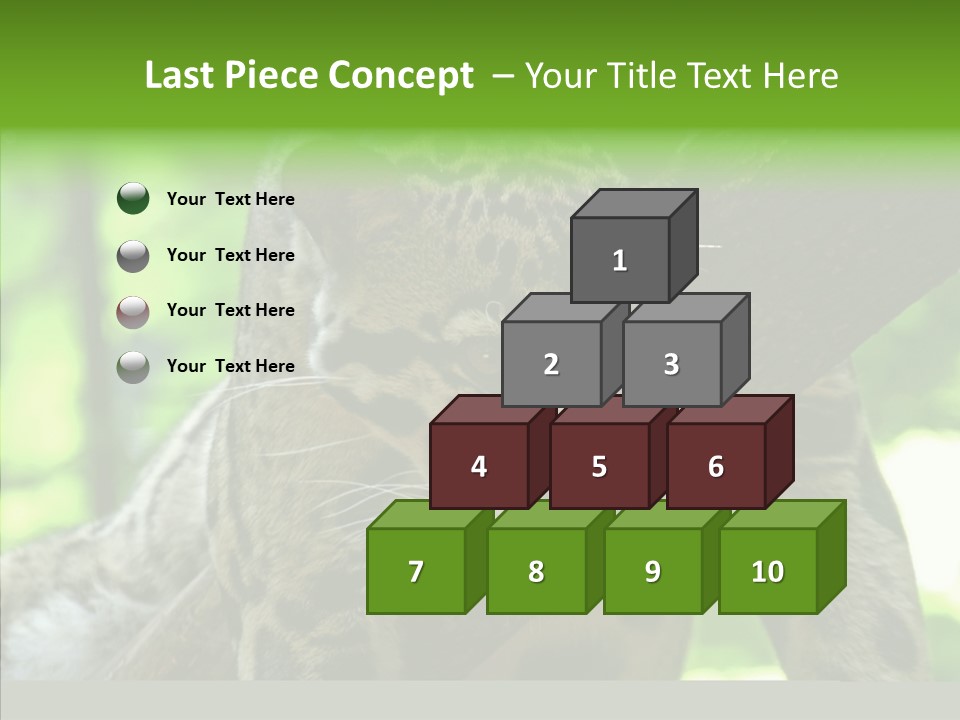 Cat Whiskers Wildlife PowerPoint Template