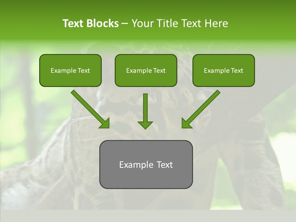 Cat Whiskers Wildlife PowerPoint Template