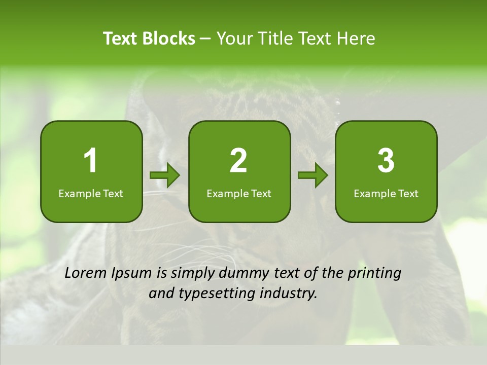 Cat Whiskers Wildlife PowerPoint Template