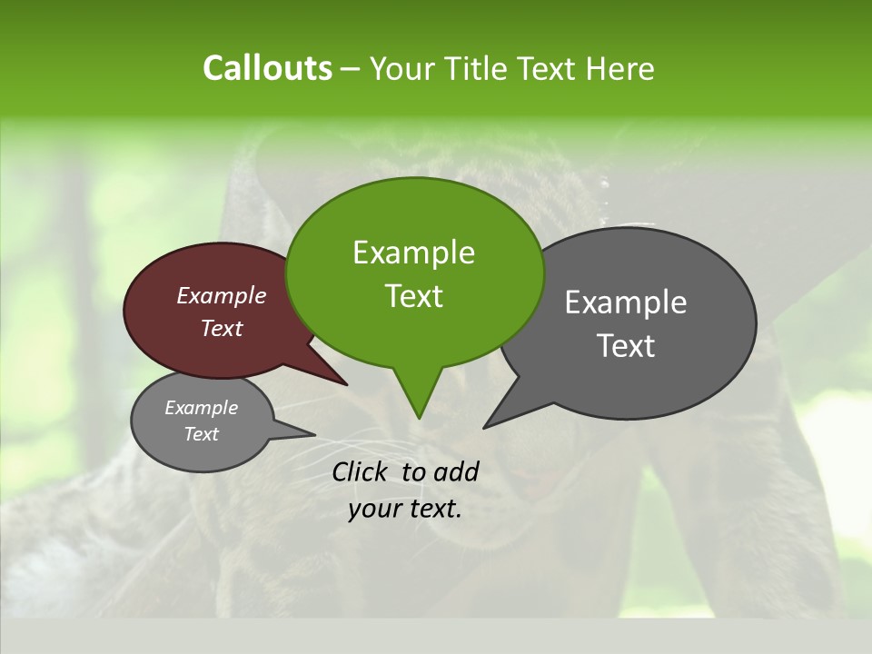 Cat Whiskers Wildlife PowerPoint Template