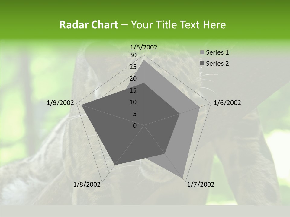 Cat Whiskers Wildlife PowerPoint Template