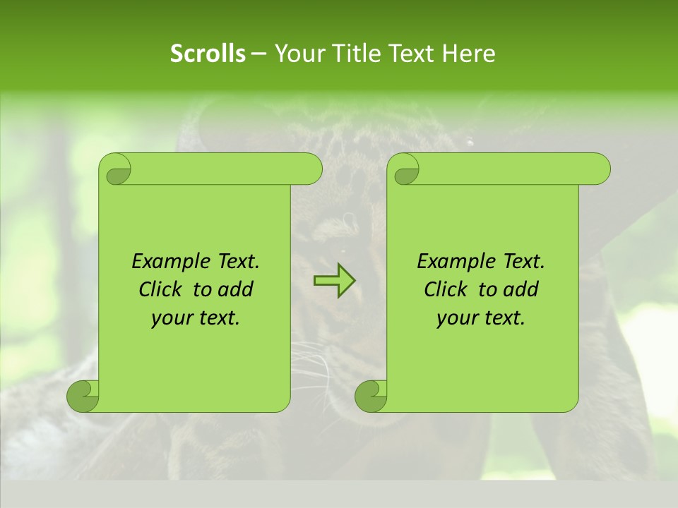 Cat Whiskers Wildlife PowerPoint Template