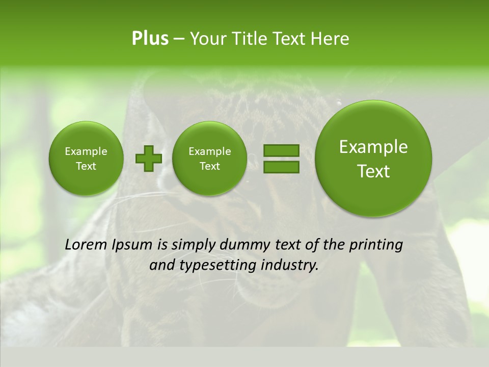 Cat Whiskers Wildlife PowerPoint Template