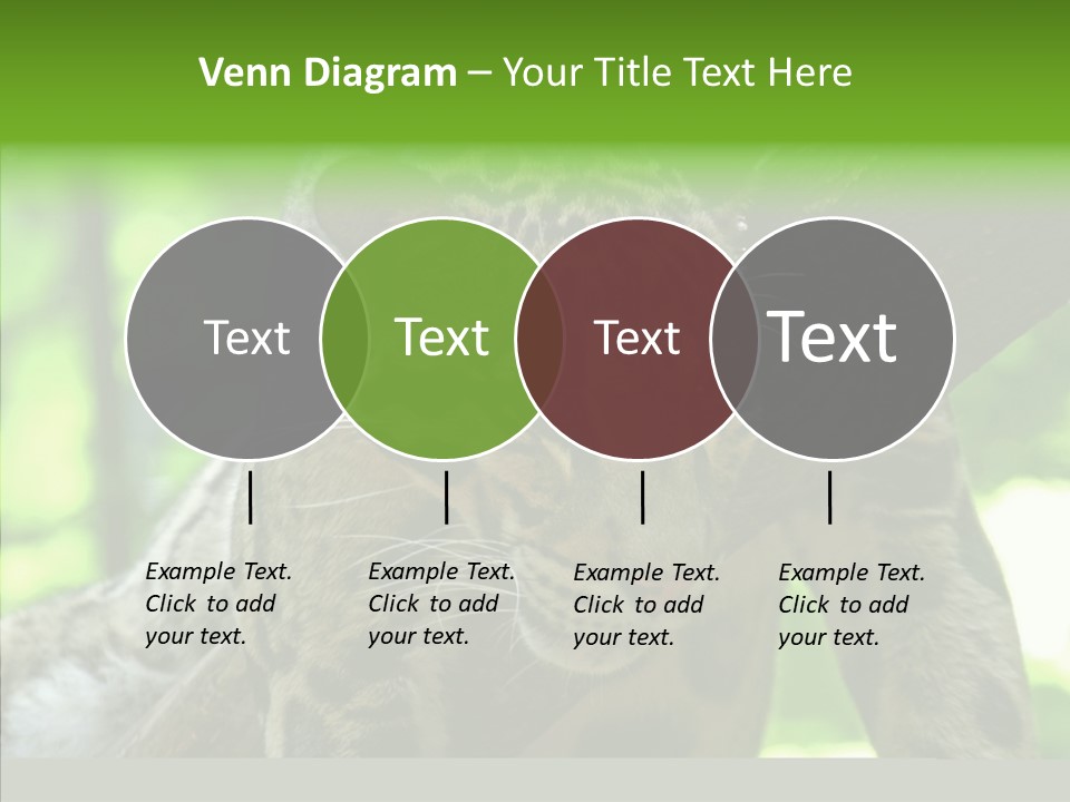 Cat Whiskers Wildlife PowerPoint Template