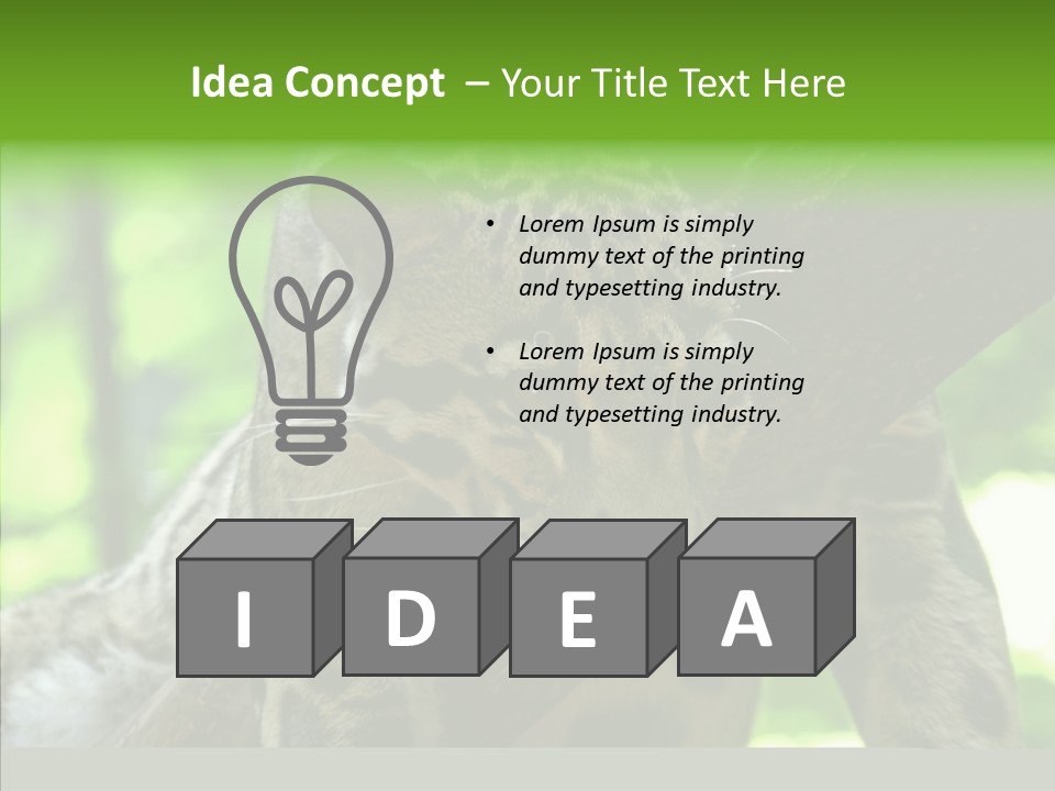 Cat Whiskers Wildlife PowerPoint Template