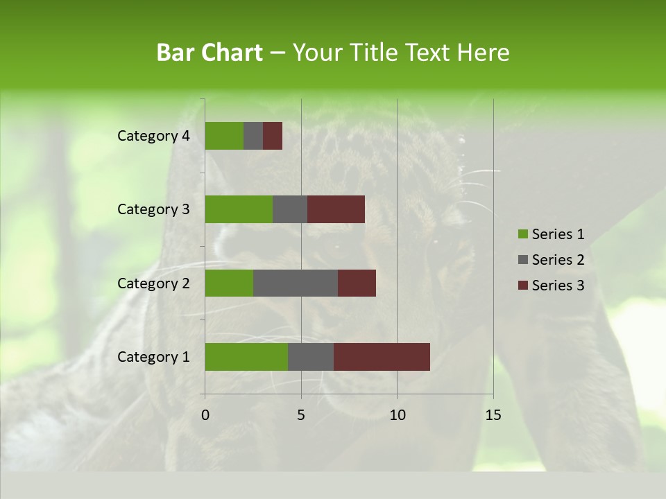 Cat Whiskers Wildlife PowerPoint Template