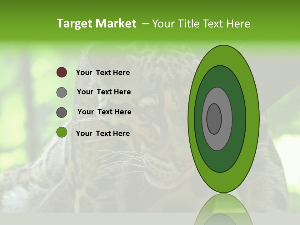 Cat Whiskers Wildlife PowerPoint Template