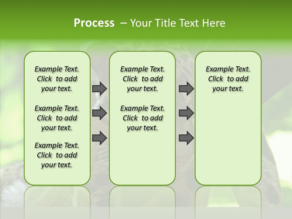 Cat Whiskers Wildlife PowerPoint Template