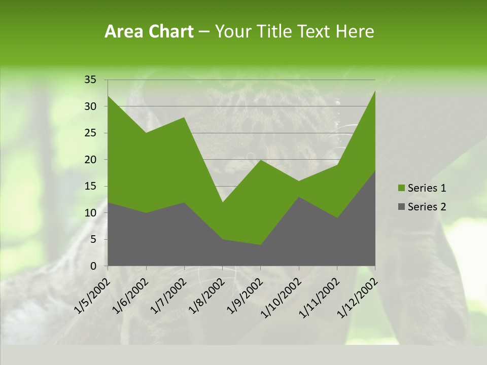 Cat Whiskers Wildlife PowerPoint Template