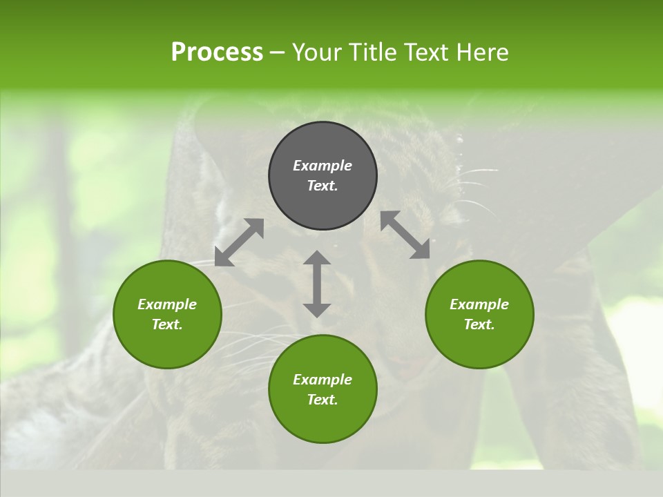 Cat Whiskers Wildlife PowerPoint Template