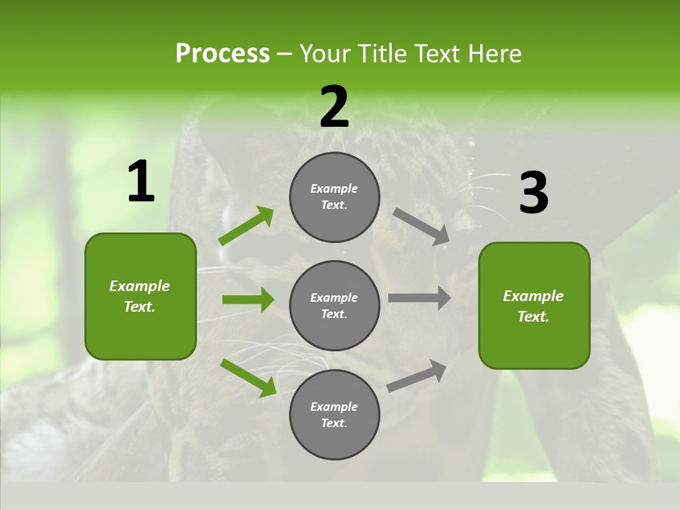 Cat Whiskers Wildlife PowerPoint Template