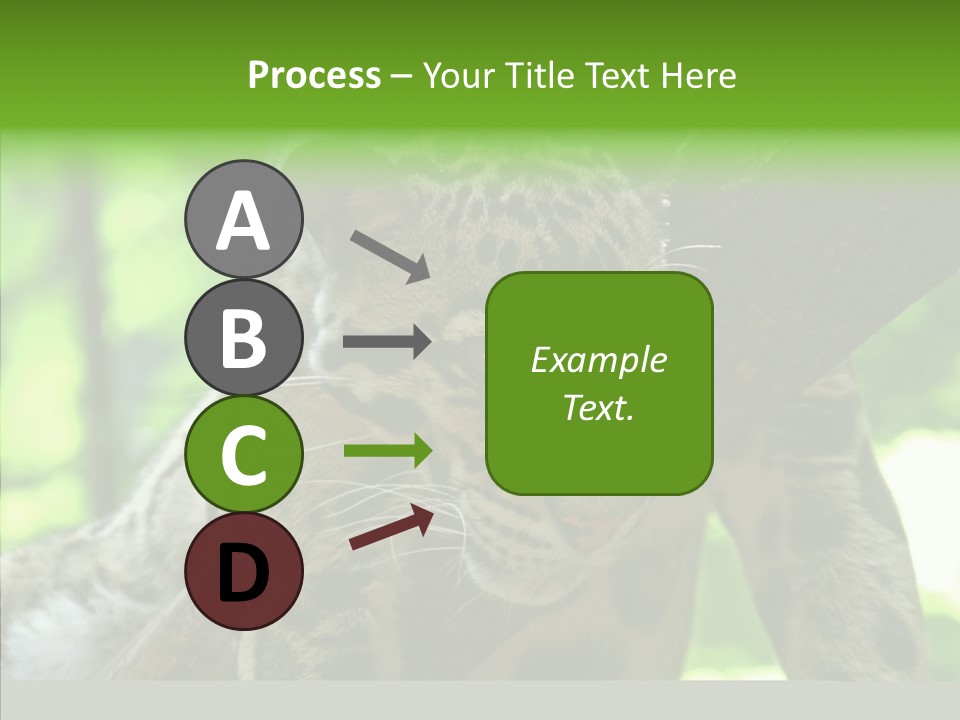 Cat Whiskers Wildlife PowerPoint Template